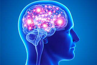Let your Brain and Body Get in Sync