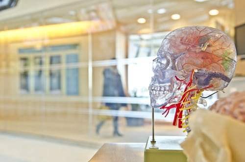 The Importance of Cerebral Health