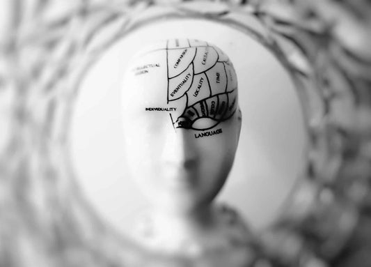 bust of mind with the labeled function